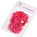 Roewell® 6 Pcs Baby's Headbands Girl's Hair Bows Chiffon Hairband (6 Pack)