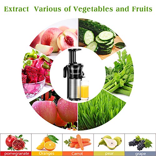 Slow Juicer, Sagnart Juicer Machine for Vegetables & Fruits, Easy to Clean, Portable Vertical
