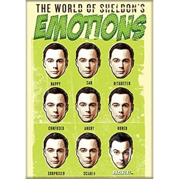 Ata-Boy The Big Bang Theory World of Sheldon's Emotions 2.5