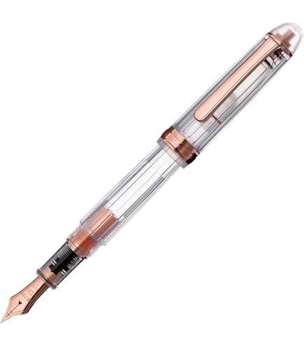 Amazon.com : Platinum Fountain Pen #3776 Century Nice PNB