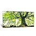 KREATIVE ARTS Canvas Large Art Print Spring Forest Nature Green Big Tree Wall Art Photo Printed on Canvas Framed Artwork for Office Wall Decoration Ready to Hang 20x40inch