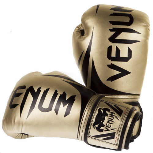 Venum "Challenger" Boxing Gloves - Gold 14oz