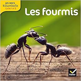 fourmis-videau