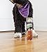 Endust Wood Floor Cleaner, 16 Ounce