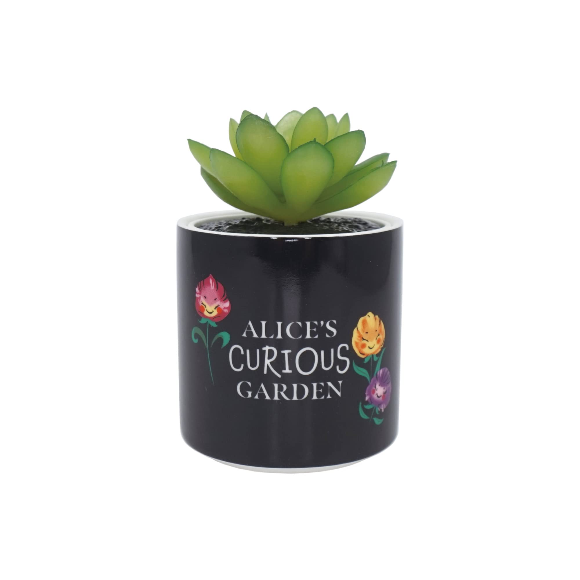Half Moon Bay Indoor Plant Pot Alice in Wonderland | Ceramic Plant Pot & Indoor Plant Pots | Pots for Plants Inside | Indoor Pots for Plants | Decorative Plant Pots Indoor | Indoor Planter | Black