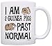 ThisWear Guinea Pig Lover Gifts I Am 2 Guinea Pigs Past Normal Gift 11oz Ceramic Coffee Mug with Handle