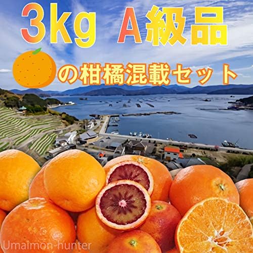 Amazon 愛媛県宇和島産 柑橘ミックス 3kg A品 ブラッドオレンジ ぽんかん いよかん でこぽん せとか オリーブガーデン みかん 柑橘類 通販