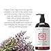 Laritelle Organic Conditioner 16 oz | Fortifying, Strengthening & Rejuvenating | Prevents Hair Shedding, Promotes New Hair Growth | Ayurvedic Herbs, Lavender, Ginger, Rosemary, Patchouli & Cloves