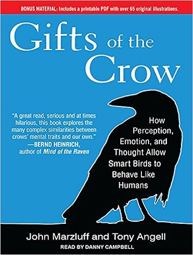 gifts for women over 65