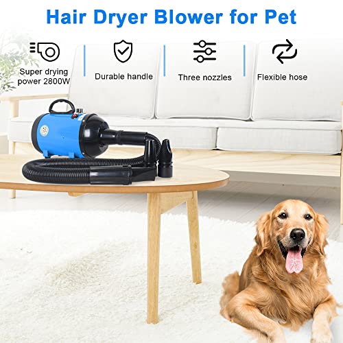 Gluckluz Pet Hair Dryer Blower Blowing Machine Hair Drying for Dog Cat Grooming Fur Blaster High Velocity Powerful Hairdryer with 3 Nozzles (Blue)