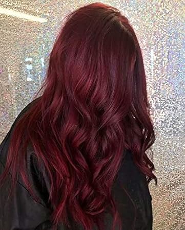 Amazon Com Sunny Burgundy Hair Extensions 22inch Salon Quality