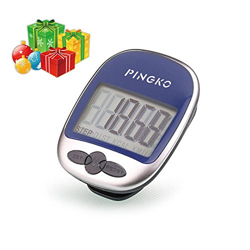 Top 10 Best Pedometers Clip On Best of 2018 Reviews No Place