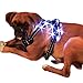 Best Friend Mobility Ultra Reflective LED Dog Harness with or without LED Lighting Front Range Outdoor Pet Vest with Handle 4 Sizes Small to XLarge Black (LED Small)