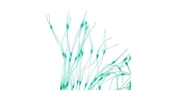 Malla anti pajaros para jardin, huerto urbano, estanque..: Amazon ...