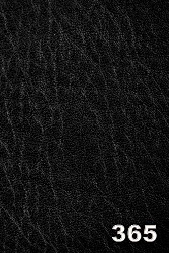 365 Day Journal: 365 Page Lined Daily Journal for 2020 and Beyond - Black Leather Look Paperback Design - Undated One Page A Day Diary Notebook for Men - 6 x 9 Inches (356 Day Journals)