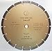 Whirlwind USA LSS 10 Diamond Saw Blades 10 Inch,General Purpose Power Dry or Wet Cutting Saw Blade,for Concrete Granite Stone Brick Masonry (10