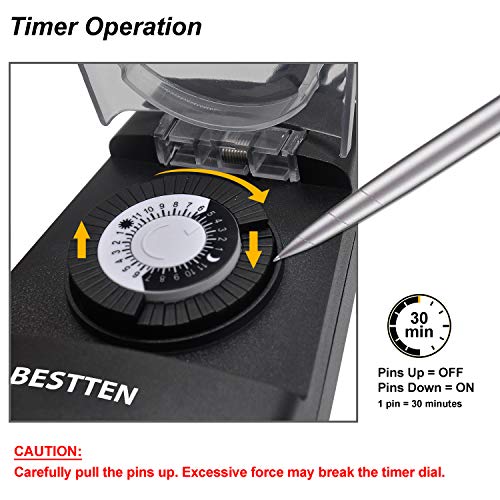 2 BESTTEN+Weatherproof+Thanksgiving+Christmas+Decorations