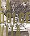 La Dolce Vita (Reportages) (French Edition) by 
