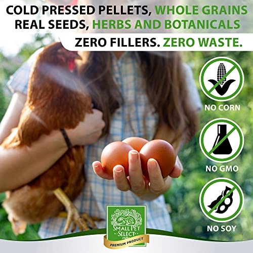 Small Pet Select Chicken Layer Feed, NonGMO, Corn Free, Soy Free, 18