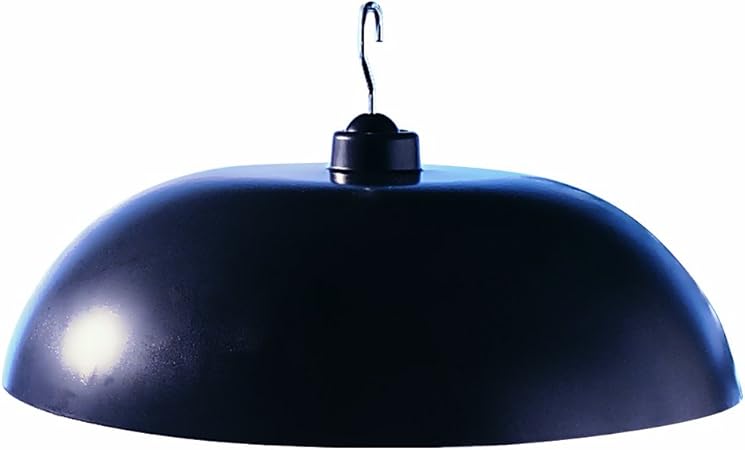Amazon Com North States Two Way Squirrel Baffle Protects Bird