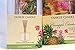 Set of 2 Yankee Candle Pineapple Cilantro MINI Reed Diffuser Kits 1.2 oz Oil Bottle and 10 Reeds in Each