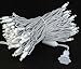 Novelty Lights 50ft Christmas String Lights, 100 Warm White LED Bulbs on White Wire, 6
