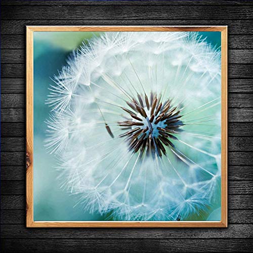 BOHADIY Diamond Painting Kits for Adults – 5D DIY Round Diamond Number