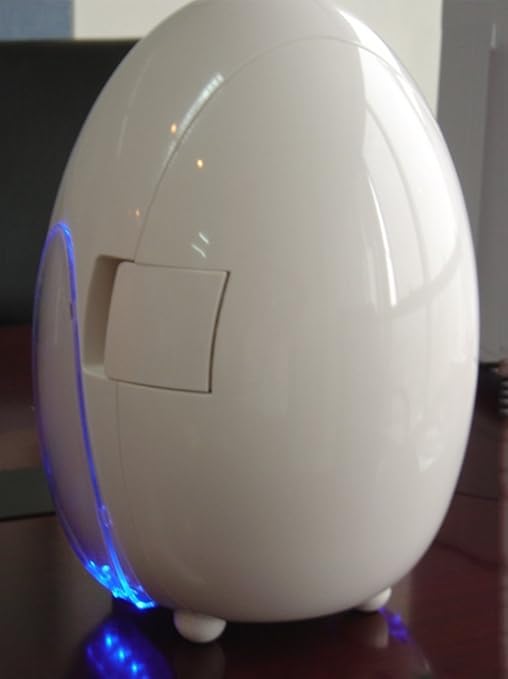 WGL Mini Refrigerador Portátil Del Coche 10L Egg Shape Car Travel ...