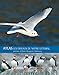 Atlas, Les oiseaux de notre littoral (French Edition) by
