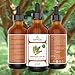 Cinnamon Leaf Oil - 100% Pure and Natural - 4 Oz. with Glass Dropper - Therapeutic Grade - Excellent for Aromatherapy, Skin and Hair Care, Massage by Essential Oil Labs