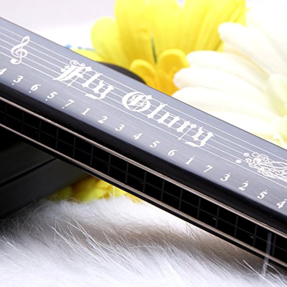 Best Harmonica C Key Harmonicas 24 Holes Major Diatonic Double Tremolo