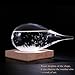Hotbest Stylish Creative Desktop Water Drop Decorative Bottle, Weather Forecast Storm Glass Weather Station-Large