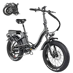 Rattan 750W Electric Bike for Adults Electric