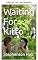 Livro Esperando por Kitto (Trilogia de Rebecca Livro 1)