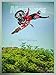 TransWorld Motocross