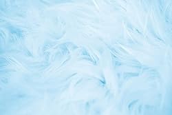Fruidles Cotton Candy Blue and Pink Party Flavors