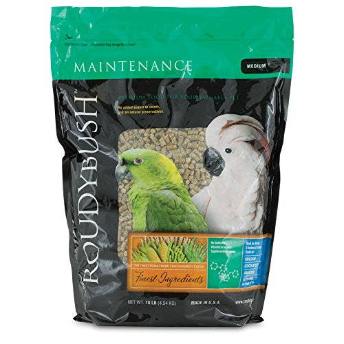 Roudybush Daily Maintenance Diet 2 pk 10 Lb Medium