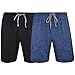 Hanes Men's & Big Men's Brushed Performace Knit Short - 2 Pack, Space Dye Colors