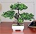 Suyunyuan Flowers 1 Pcs Artificial Bonsai Welcoming Fake Tree Green Plant Pine Trees Potted Decoration (Type 2)