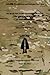 Human Factors Considerations of Undergrounds in Insurgencies: Second Edition by