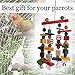 Coppthinktu Parrot Toys, Parrot Toys for Large Birds, Knots Block Parrot Chew Toys with Number Wooden Blocks and Bells for Small Medium Large Parrots and Birds Like Amazon, African Grey and Cockatoosthumb 4