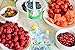 Fill n Squeeze Baby Weaning Set, Starter Pack