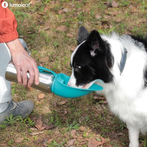 LumoLeaf Portable Dog Water Bottle 800 ml, Stainless Steel Pet Travel Water Bottle Dispenser for Walking, Hiking and Outdoor, Portable Water Bowl for Large Dogs (Blue)