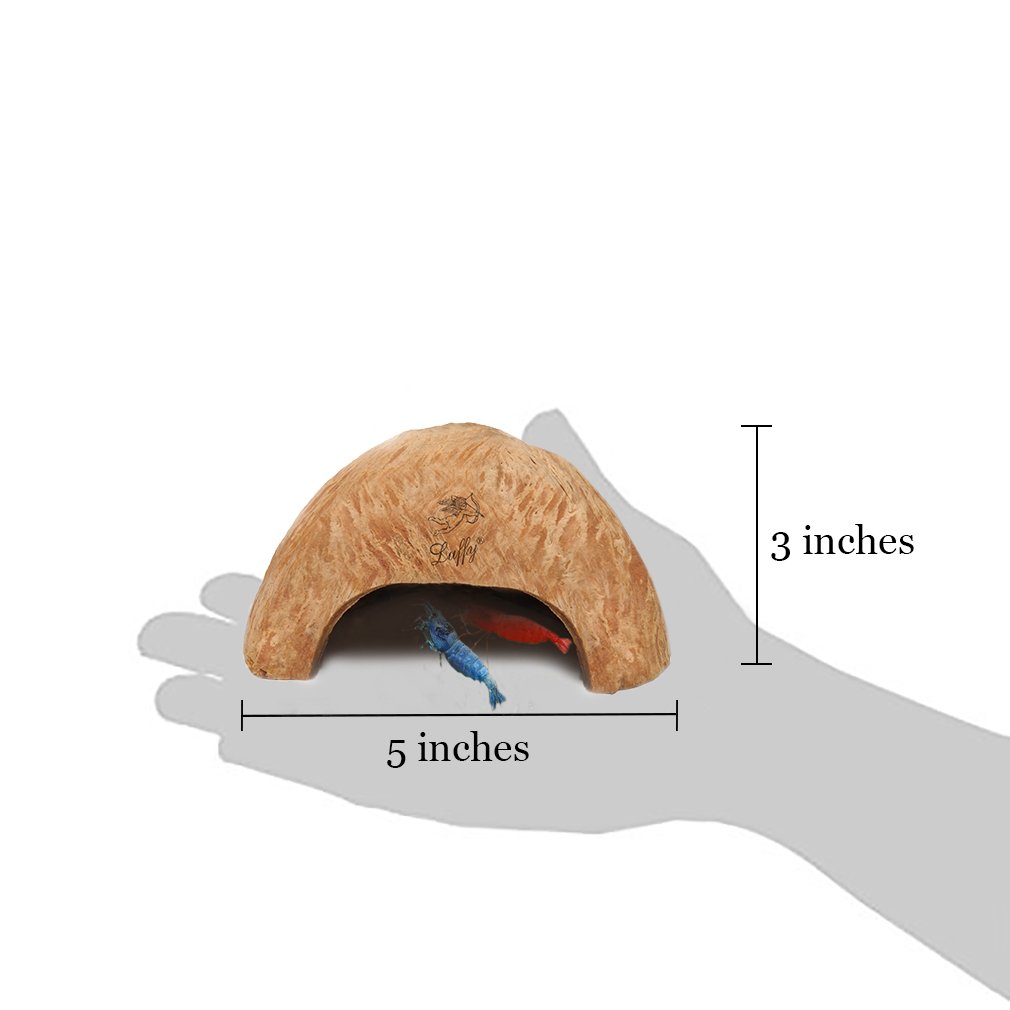 SunGrow Organic Coco Shrimp Cave : Comfortable Hideout for Shrimp : Perfect Breeding Area : Naturally Attractive & Non Toxic : Unique Aquarium Decoration