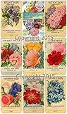 Victorian Vintage Seed Pack Flowers Large Collage Sheet #103, Scrapbooking, Decoupage, Altered Art, Labels