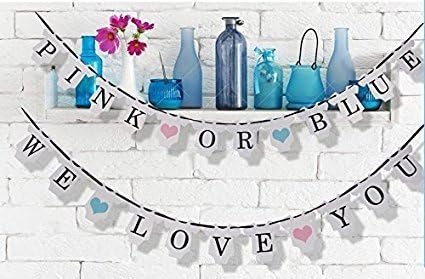 Gender Reveal Party Baby Shower Decorations Pink OR Blue WE Love You Banner - Pregnancy Announcement (T Shirt Shape)