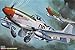 Hasegawa 1:32 Scale P-51D Mustang Model Kit