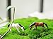 32 pcs Miniature Ornament Dollhouse Fairy Garden Animal Zoo Set