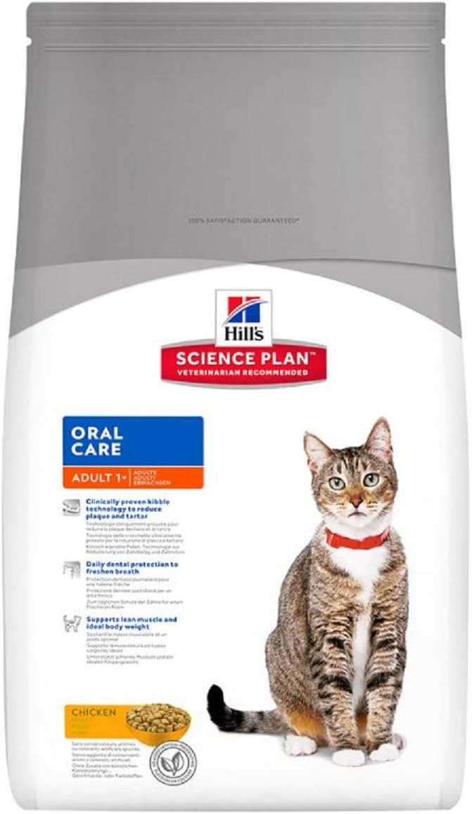 Hill's Feline Adult Oral Care Comida para Gatos 5000 gr Amazon.es