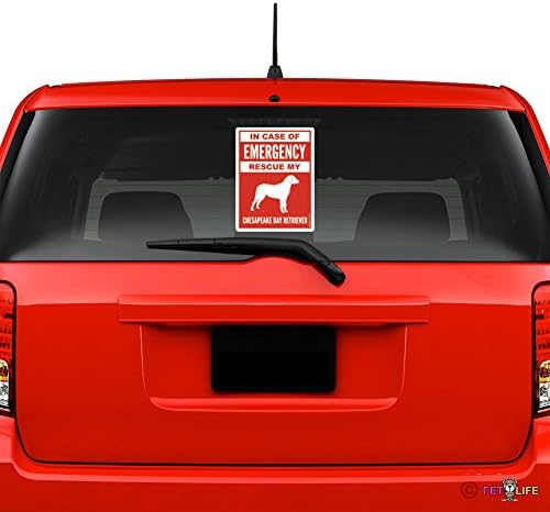 In Case of Emergency Rescue My Chesapeake Bay Retriever Windshield Sticker Vinyl Auto Window #2 dog safety chessie cbr